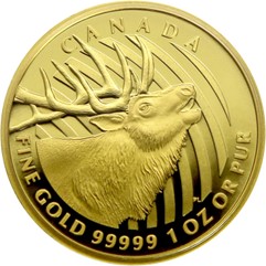 Zlatá mince Elk s jelenem na rubu